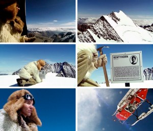 230539_rentyhorn_still